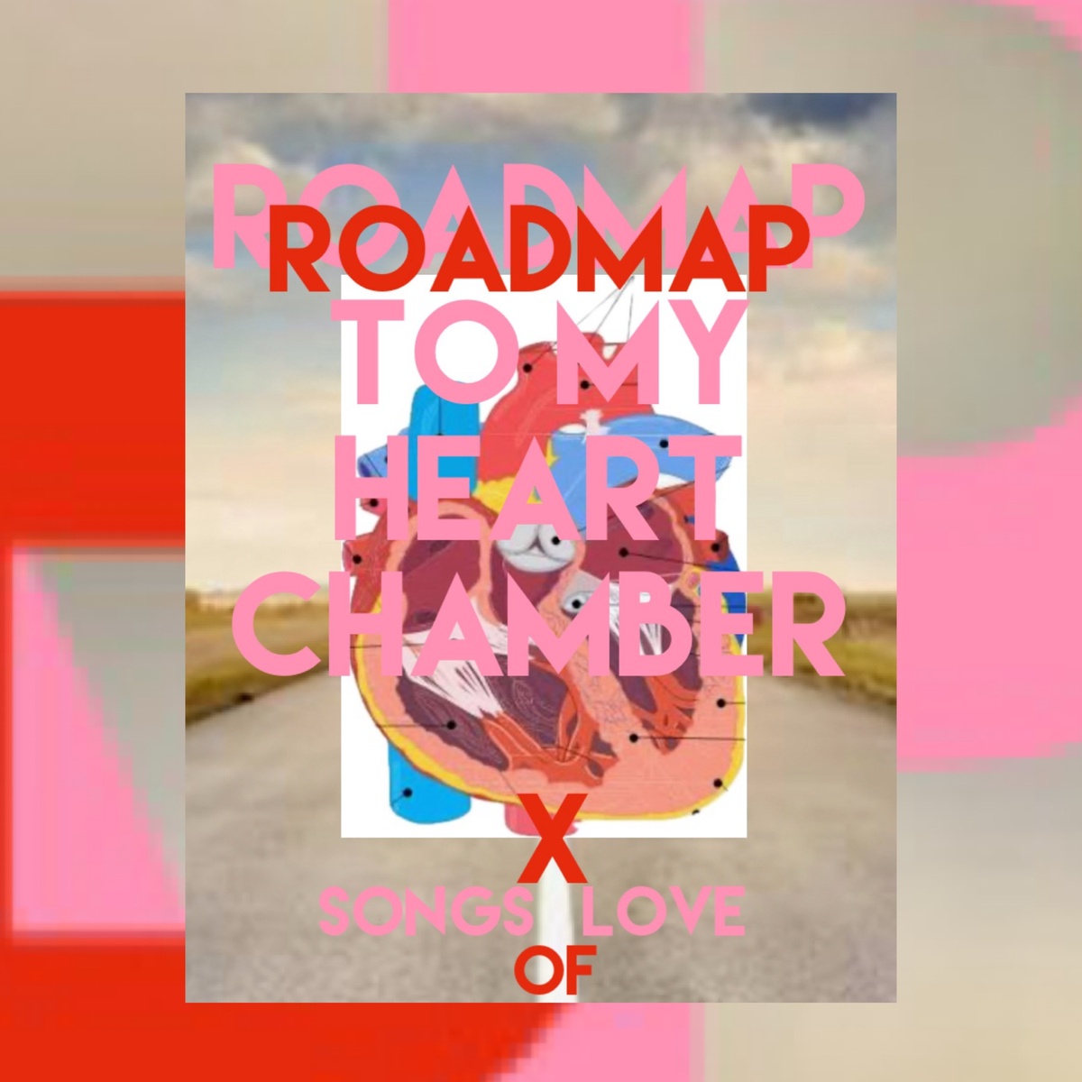Roadmap to my Heart Chamber